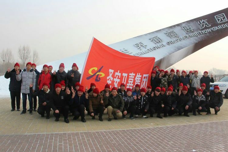 为迎冬奥会圣安卫嘉安保护航